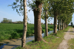39_De_Leek